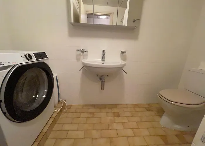 Daire Ascona: Casa Conchiglia